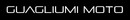 Logo Guagliumi Cars Srl